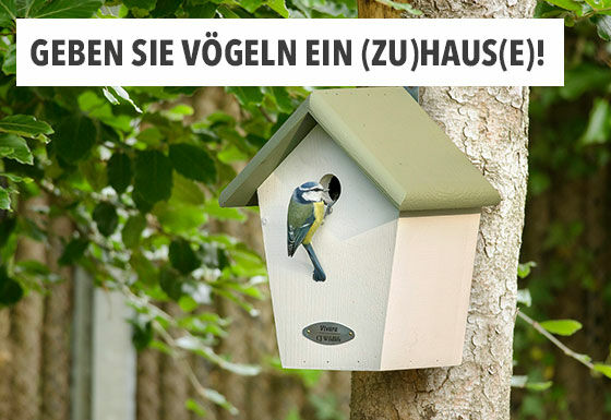 Geben Sie Vögeln ein Zuhause