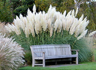 Wenn’s um die Privatsphäre geht