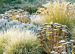 Schutz und Schönheit im winterlichen Garten