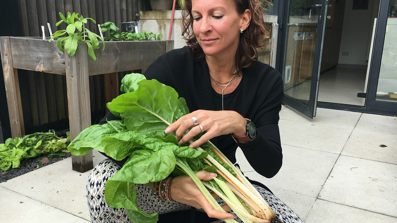 Sommerliches Ernten und Säen im Genialen Gemüsegarten