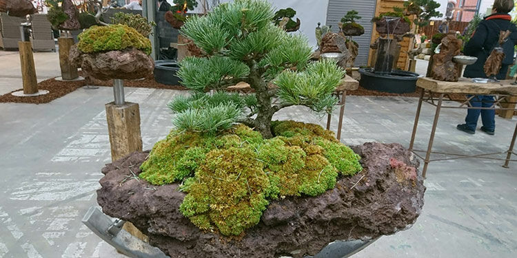 Erfahrungsbericht von Eberhard Gerstädt | Berlin 2019