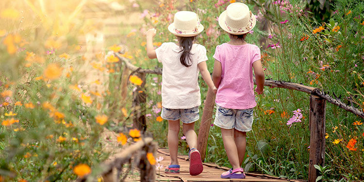 Wie wichtig sind Insekten für meinen Garten?