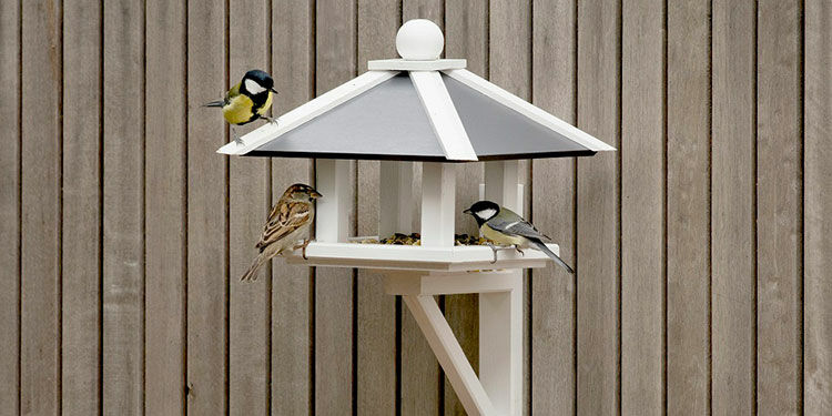 Wie richte ich meinen Garten oder Balkon tierfreundlich ein?