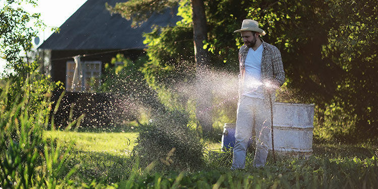 Wie bewässere ich meinen Garten richtig? 