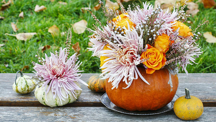 Blumenarrangement im Kürbis