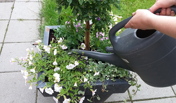 grosse-pflanzgefasse-attraktiv-bepflanzen-teil-1