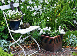 Lichtpunkte im Grün - Gartengestaltung mit Weiß