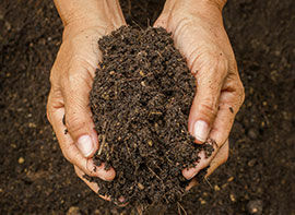 Der Nutzgarten im Dezember - Gärtnern im Winter