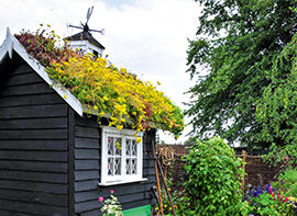 Dachbegrünung – kleine Dächer schön bepflanzt 