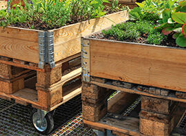 Gartenideen von der IGA in Berlin 