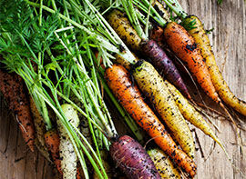 Karotten – bunte Vielfalt säen 