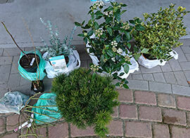 Erfahrungsbericht von Martin Scheffel | Magdeburg 2018