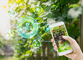 Der automatisierte Garten - der Garten von morgen?