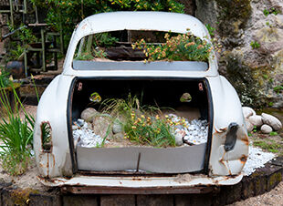 Back to Nature (Fortsetzung)