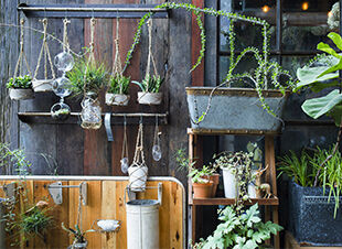 Living in the city – der Balkongarten