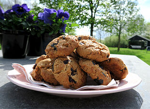 White Chocolate Chip Cookies mit Blaubeeren