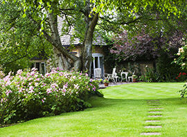 Tipps für einen Englischen Rasen