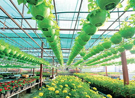 Unser Gartenmonat Mai