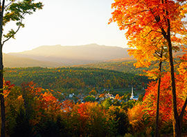 Indian Summer – Der Garten im goldenen Herbst