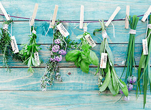 Kreative Kräutergärten für die Küche