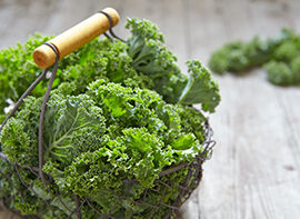 Last Minute im Gemüsebeet