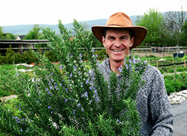 Die Welt der Heilkräuter