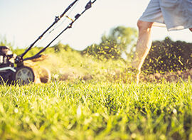 Sommerpflegetipps für Rasen, Dünger und den Obstbaumschnitt