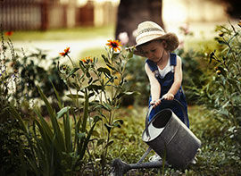 5 Pflanzensitter für einen sorglosen Urlaub