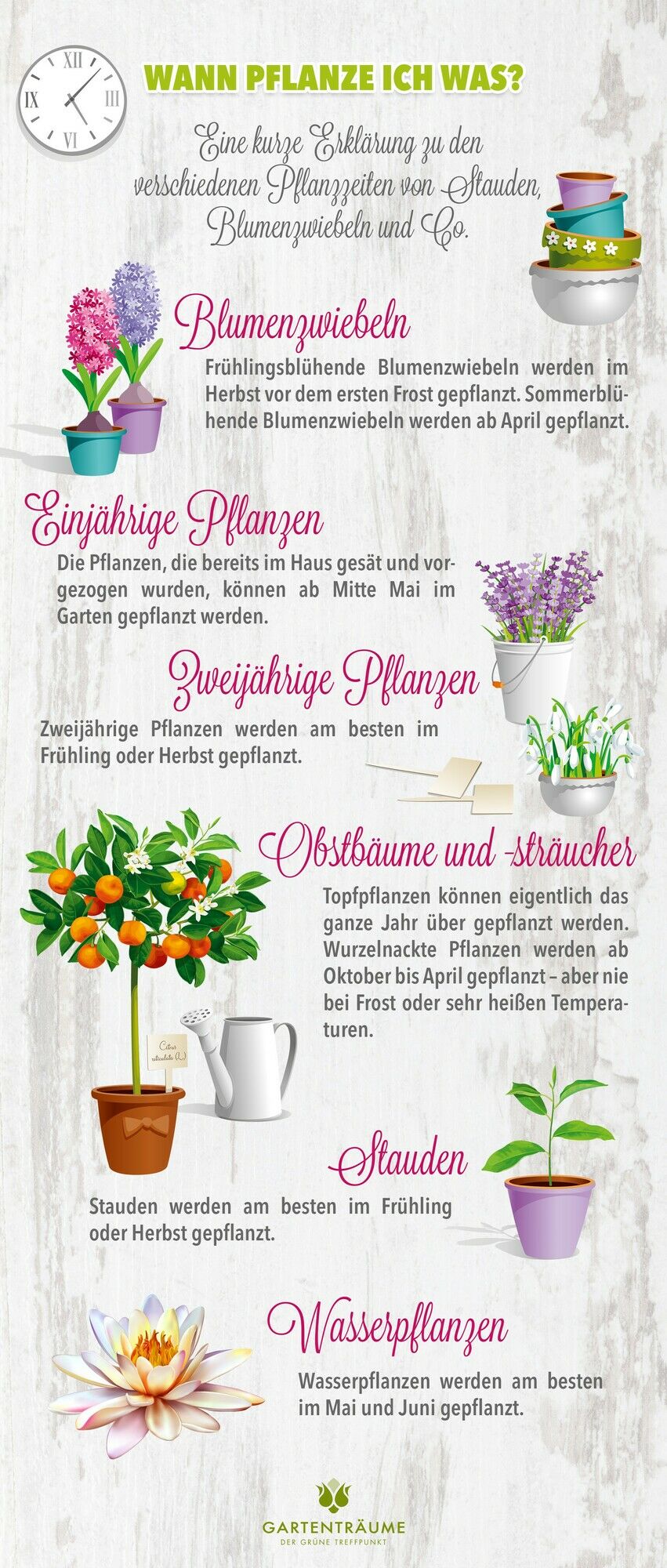 Die verschiedenen Pflanzzeiten